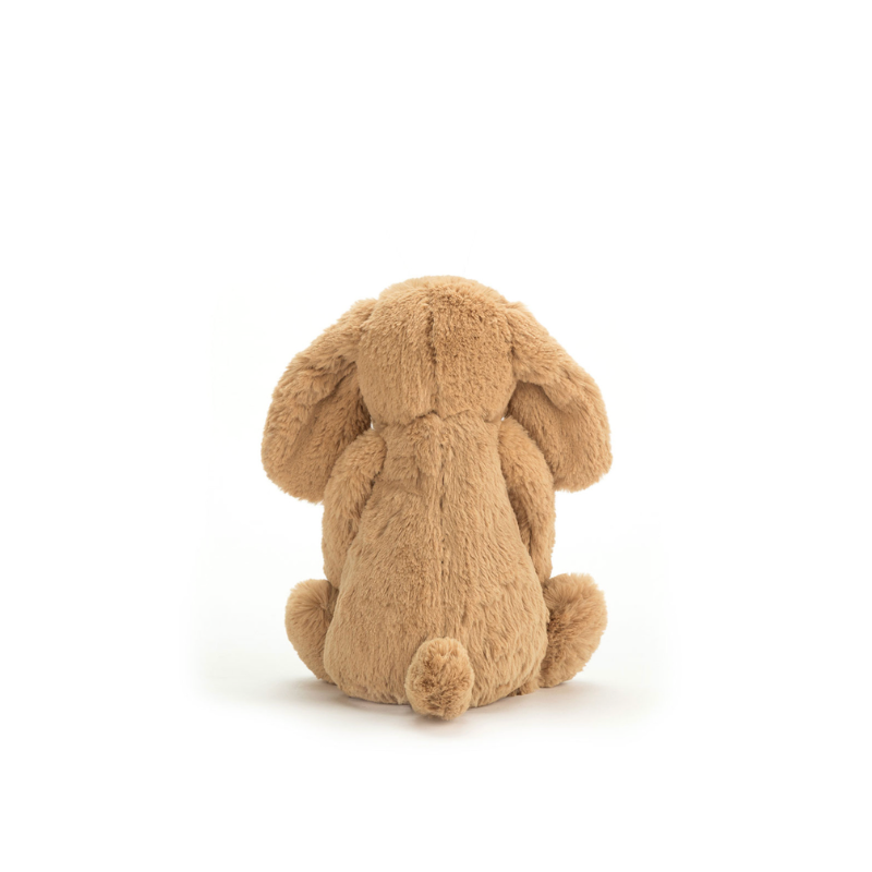 Bashful Toffee Puppy