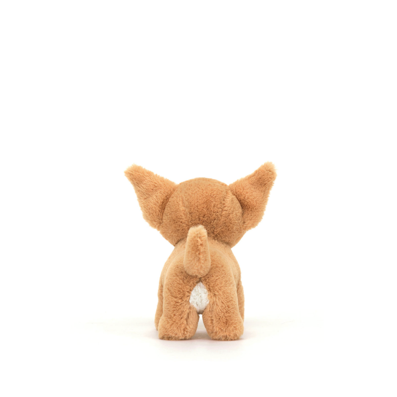 Isobel Chihuahua