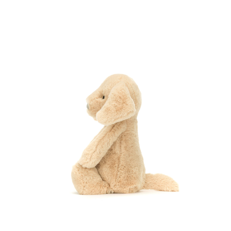 Bashful Luxe Puppy Orlando