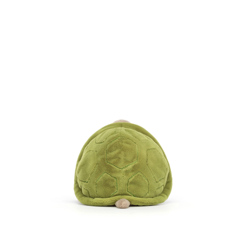 Timmy Turtle