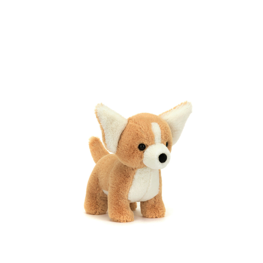 Isobel Chihuahua