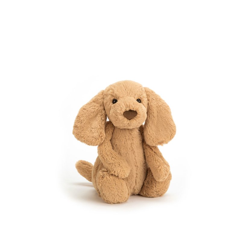 Bashful Toffee Puppy