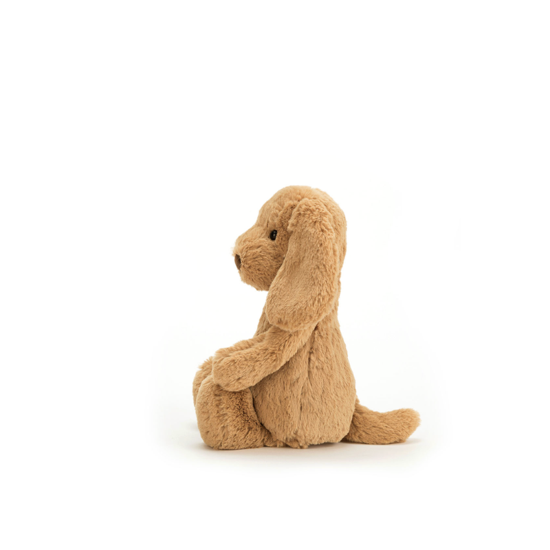 Bashful Toffee Puppy