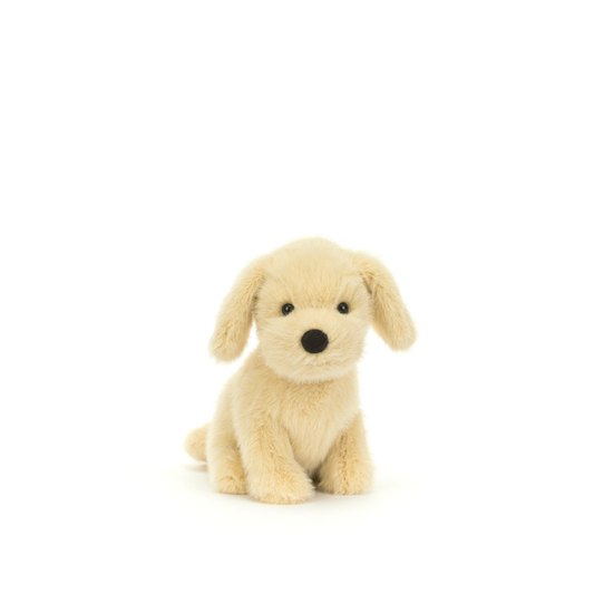 Golden Puppy