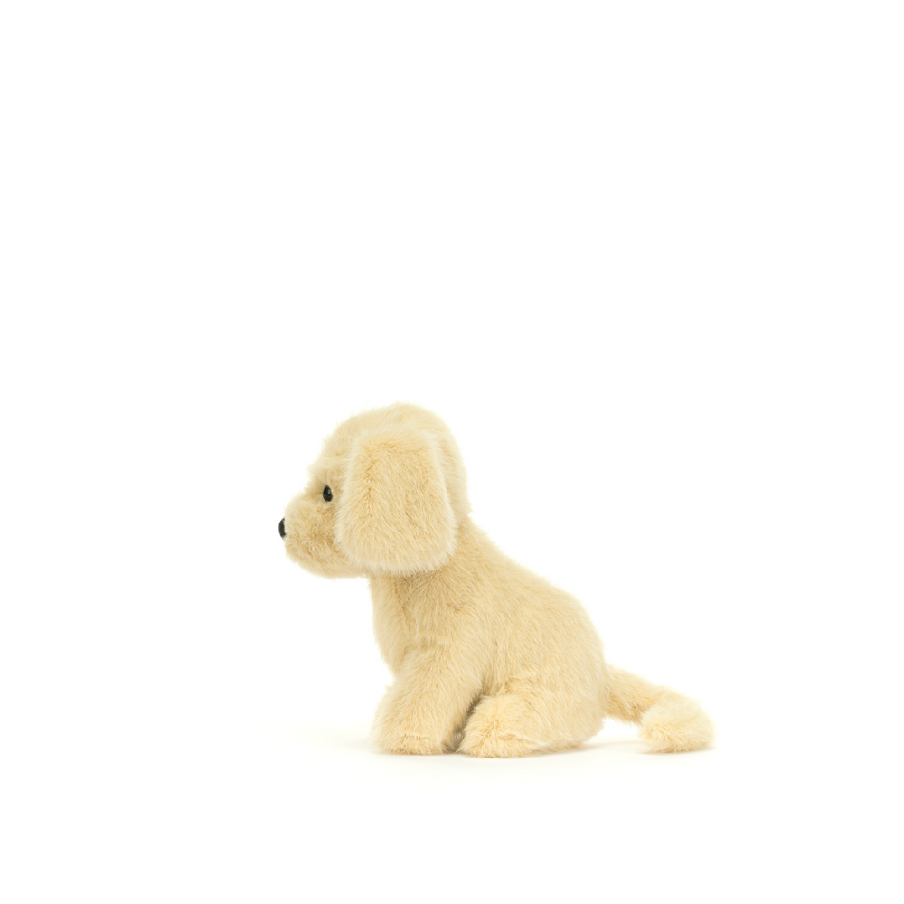 Golden Puppy