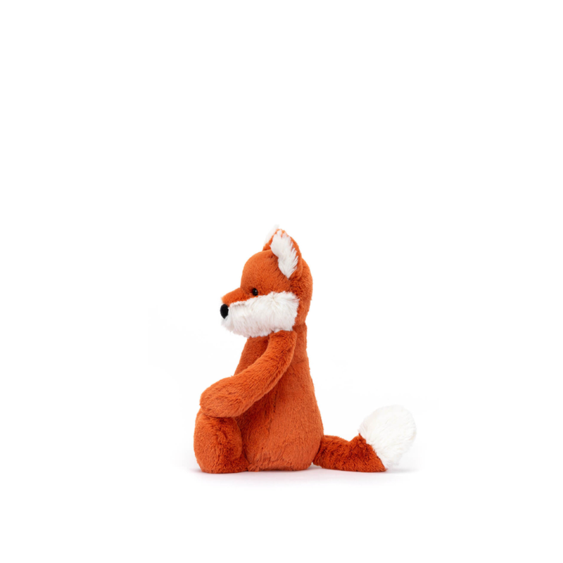 Bashful Fox Cub