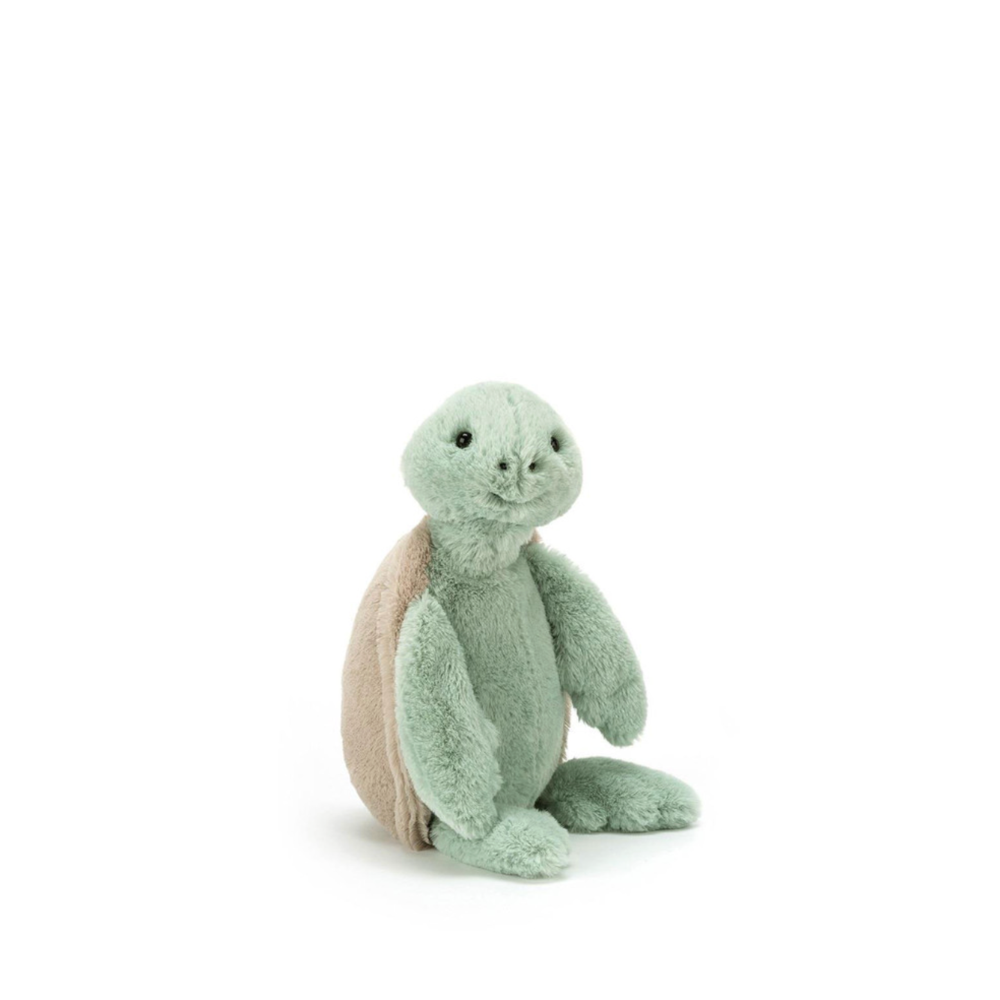 Bashful Turtle