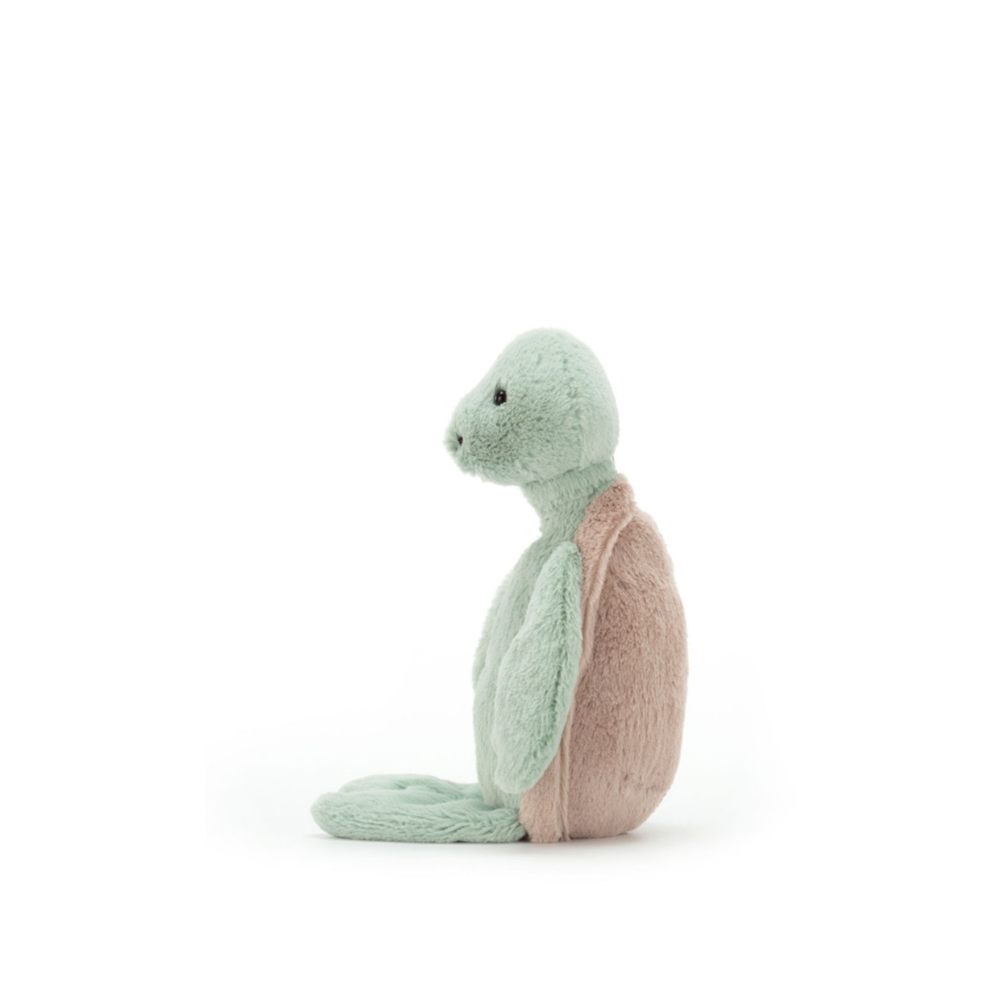 Bashful Turtle