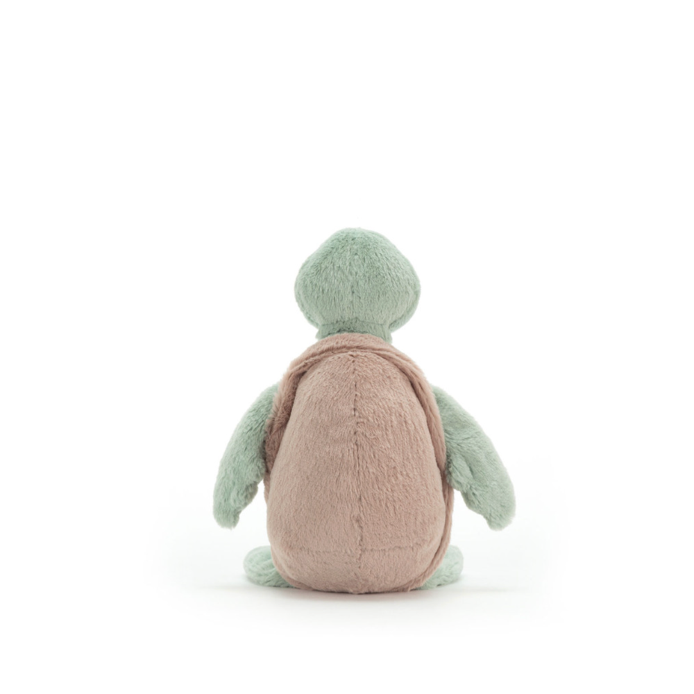 Bashful Turtle