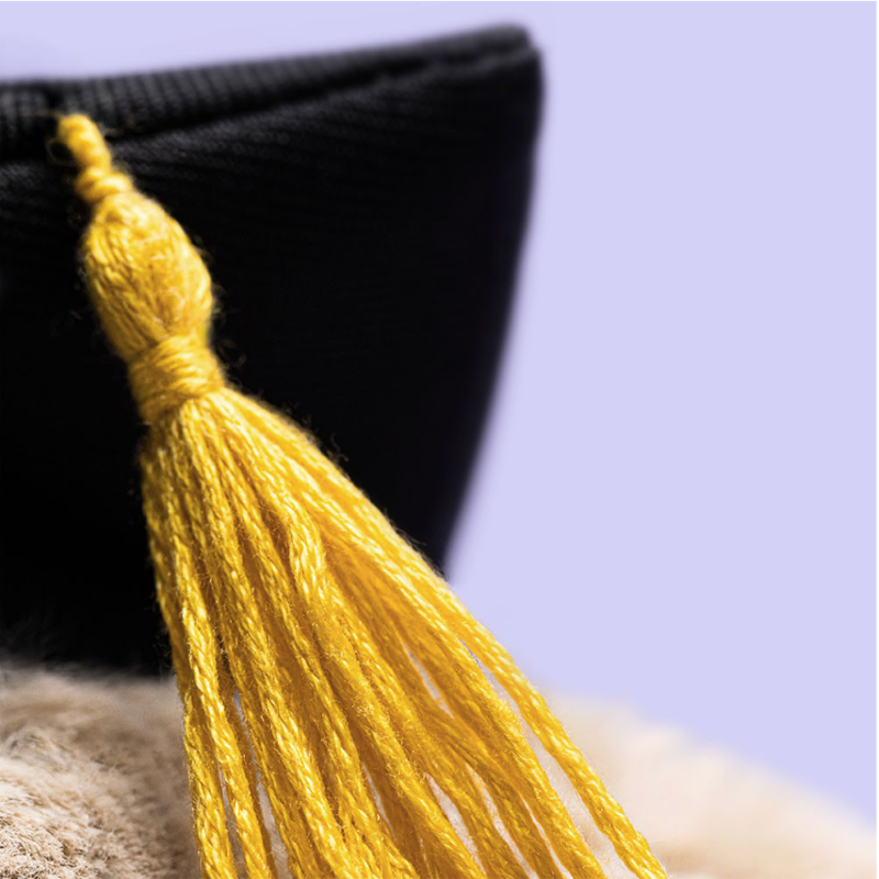Graduation Bashful Bunny Plushie