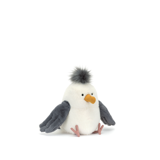 Chip Seagull
