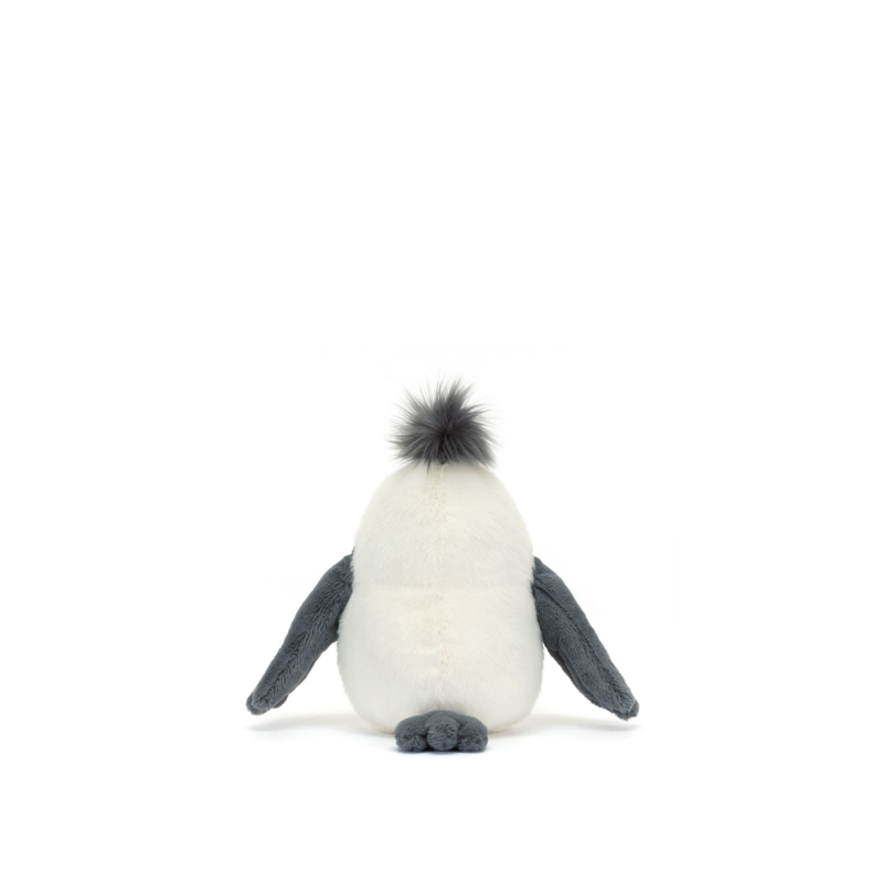 Chip Seagull