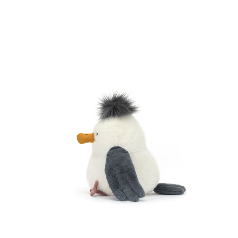 Chip Seagull