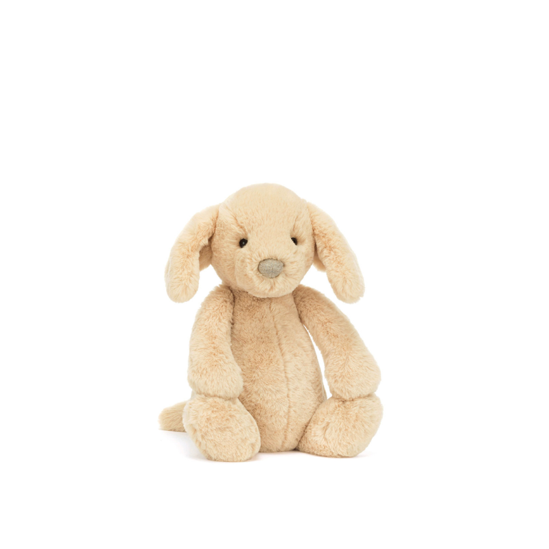 Bashful Luxe Puppy Orlando