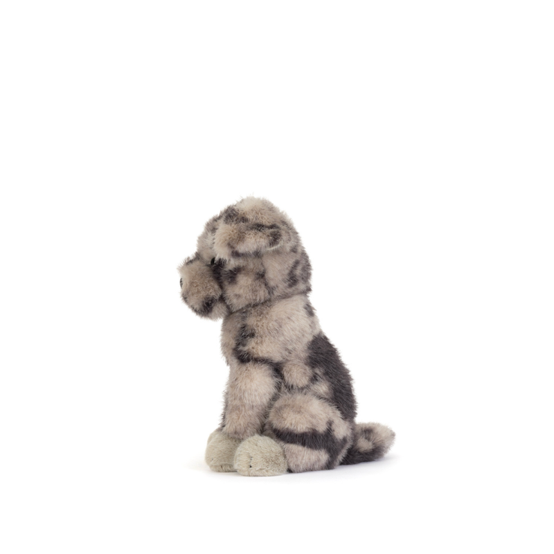 Fluff Rescue Dog