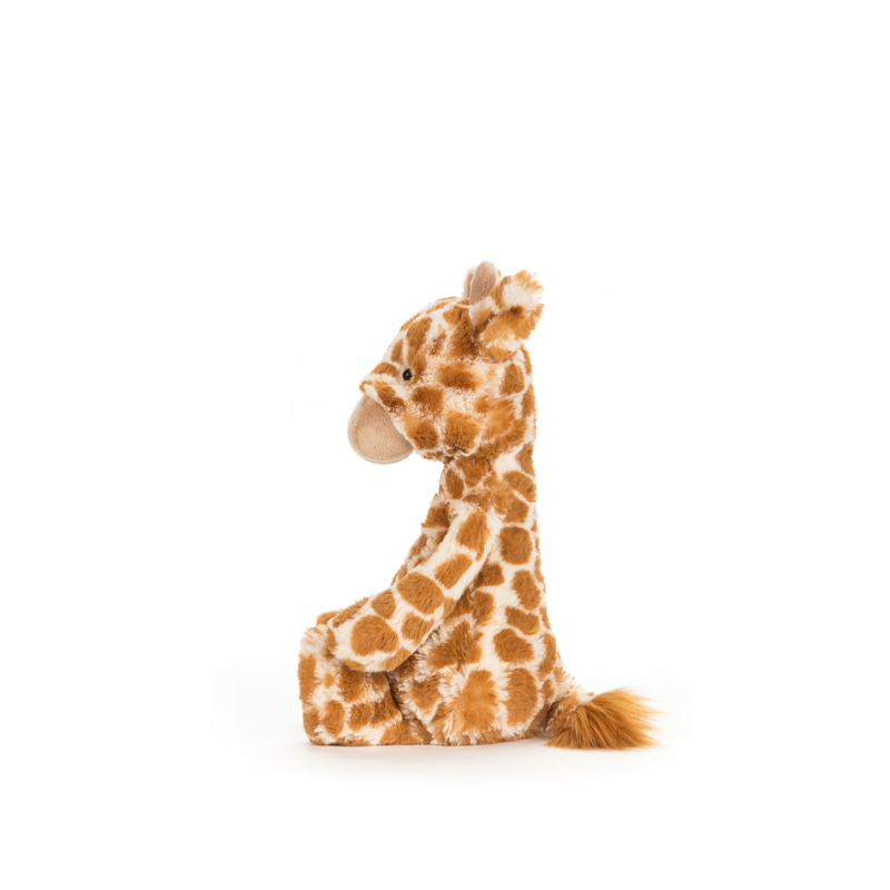 Bashful Giraffe