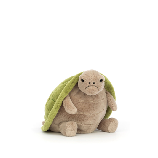Timmy Turtle