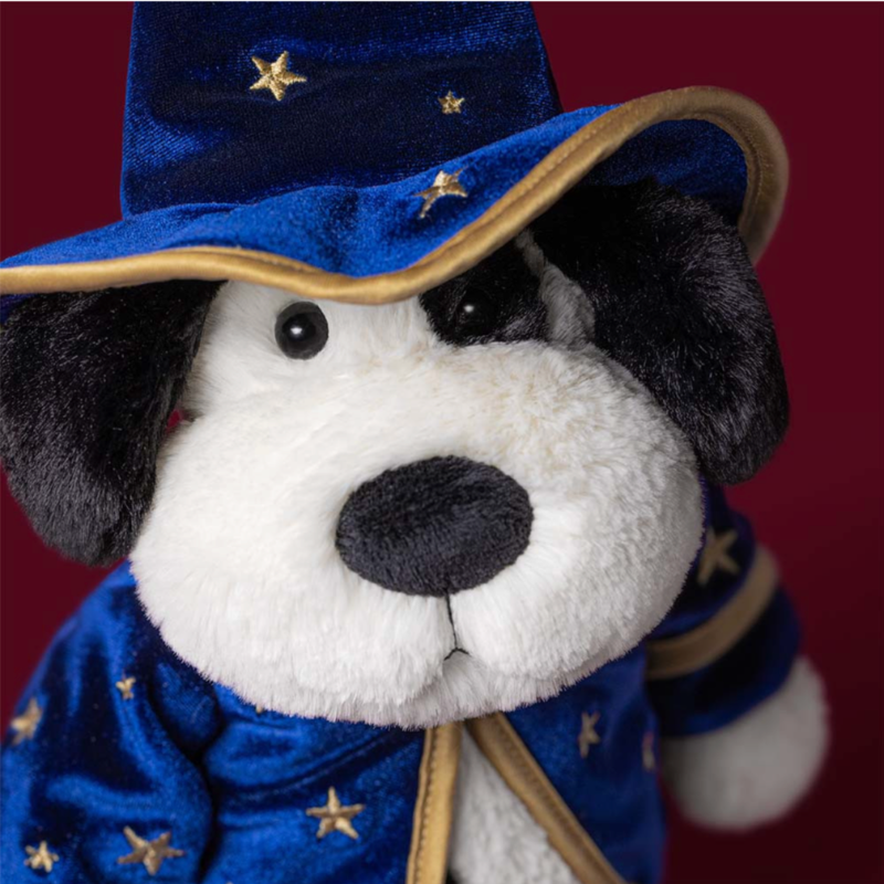 Rufferty Puppy 'Wizard'
